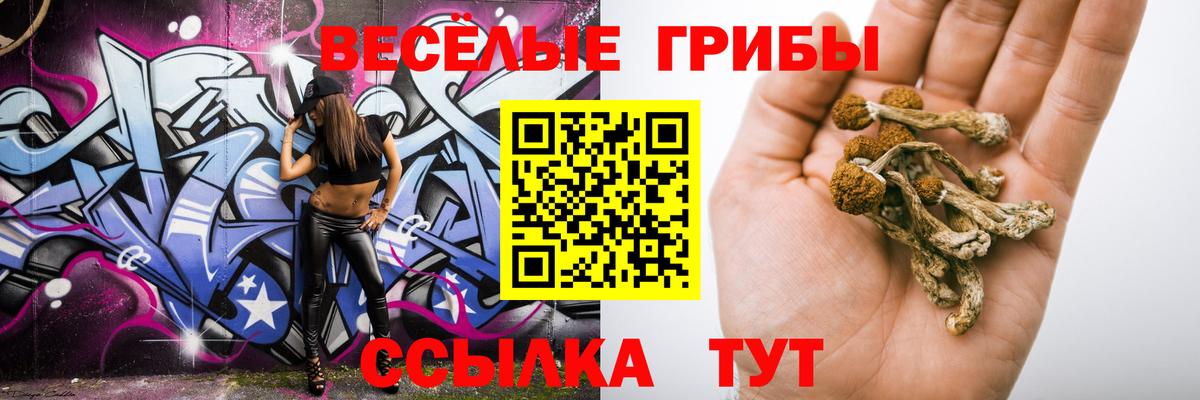 Псилоцибиновые грибы мухоморы Мичуринск