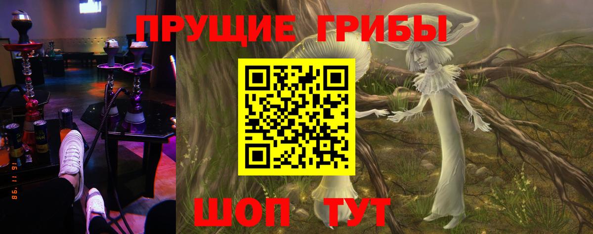 Галлюциногенные грибы Psilocybine cubensis  Вход с VPN  сколько стоит  Мичуринск 